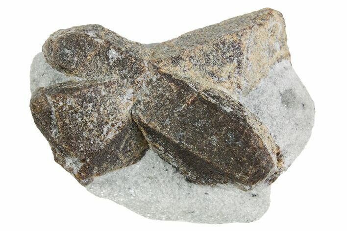 Twinned Staurolite Cross In Glittering Mica-Schist - Russia #356588